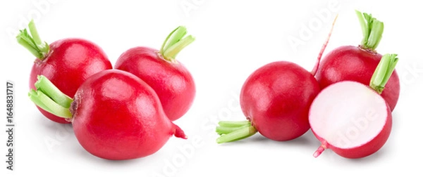 Fototapeta fresh radish isolated on white background. clipping path