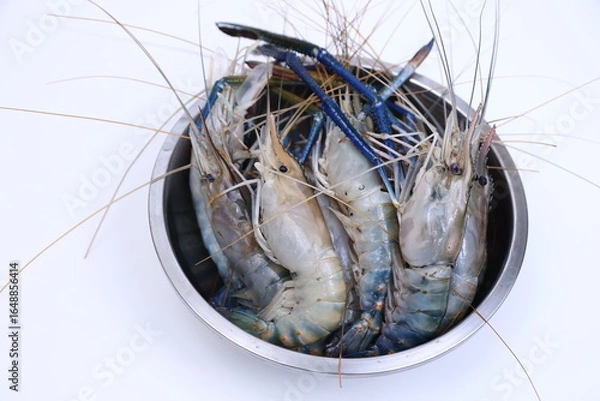 Obraz fresh river shrimp