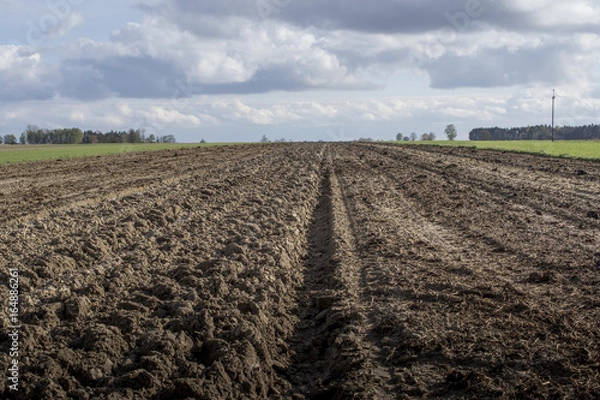 Obraz ziemia na polu