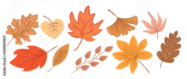 Fototapeta A collection of autumn leaves as if drawn by hand. Seasonal autumn leaves in warm tones. Cute flat botanical illustration on a white background
