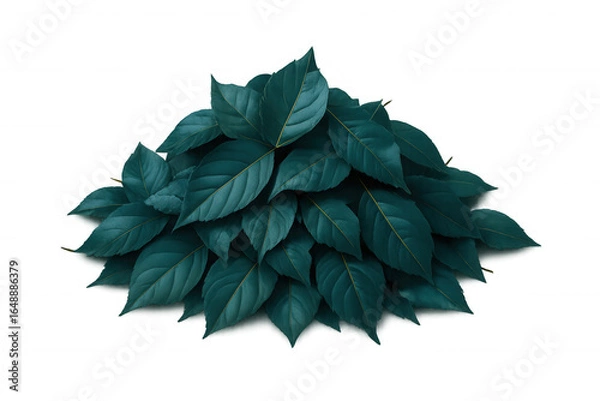 Fototapeta Cluster of teal leaves forms a textured mound, providing a natural and vibrant backdrop with transparent background