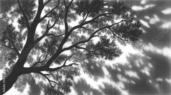 Obraz Silhouetted tree branches creating intricate patterns against a light background.