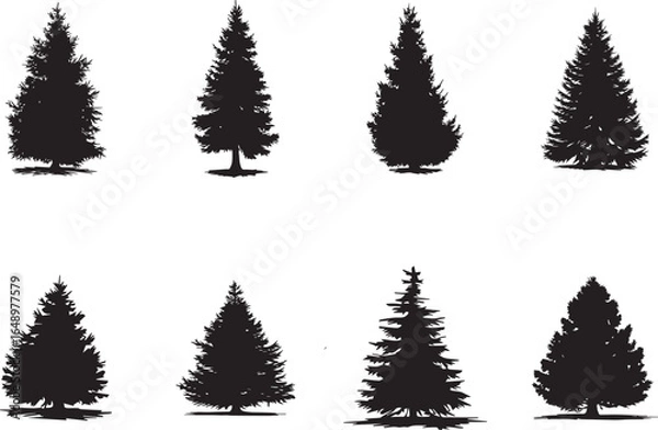 Obraz Silhouette Collection of Coniferous Trees for Christmas Trees