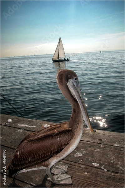 Fototapeta santa barbara