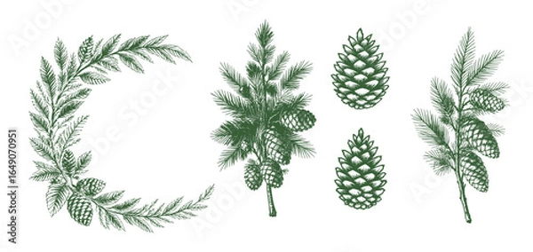 Fototapeta Pine Cone Set Christmas Vintage Sketch Landscape Holiday Xmas Card Engraving Frora Engraver Retro Winter Vector Print Depicting Detailed Cones And Branches