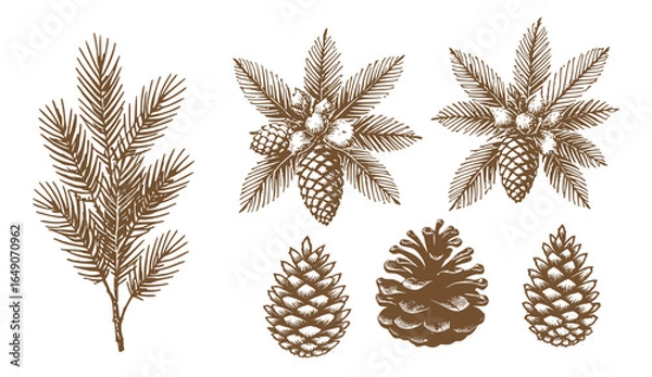 Fototapeta Pine Cone Set Christmas Vintage Sketch Landscape Holiday Xmas Card Engraving Frora Engraver Retro Winter Vector Print Depicting Detailed Cones And Branches