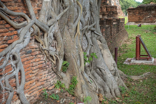 Fototapeta アユタヤの遺跡 タイ王国