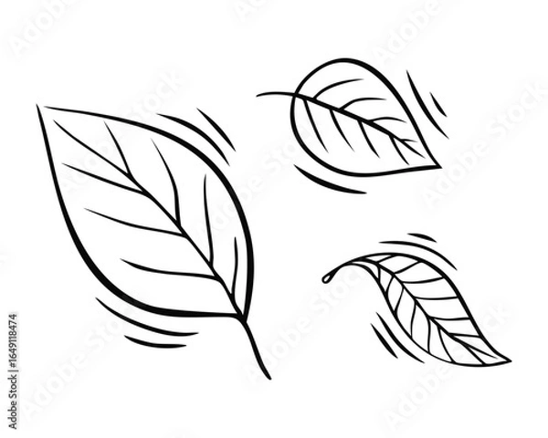 Fototapeta Set of cute simple leaves in doodle style. Autumn fallen leaves. Vector illustration