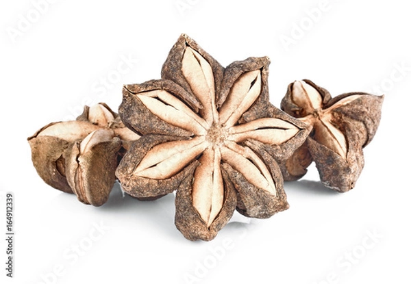 Obraz sacha inchi peanut seed on white background