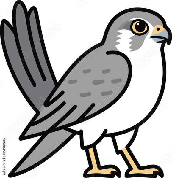 Obraz Cute cartoon a illustrator vector kestrel