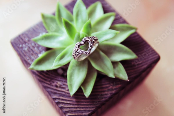 Obraz Silver heart on plant