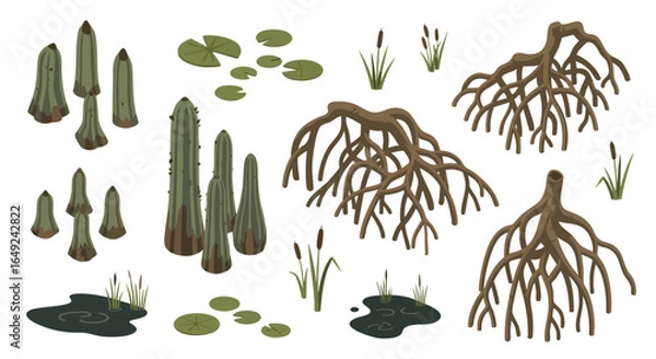 Fototapeta Isometric Detailed Swamp Environment Elements Vector Illustration Set, Cypress Knees, Mangrove Roots, Water Lilies, Cattails, Mud Puddles, Aquatic Plants, Game Design, Nature Scene