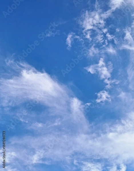 Fototapeta Bright Summer Sky Background