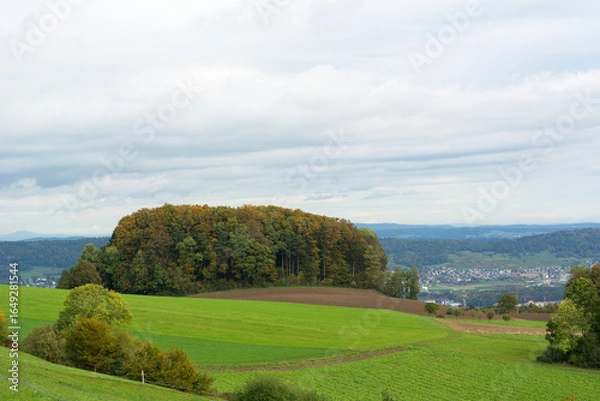 Obraz Beautiful group of trees on the summer day in Switzerland. Green European valley with mountains on the background with cloudy sky
