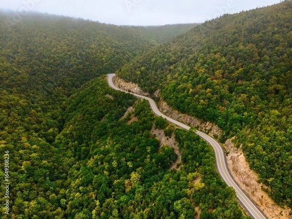 Fototapeta winding road through the forest . View from top of a cliff. Nova scotia canada.