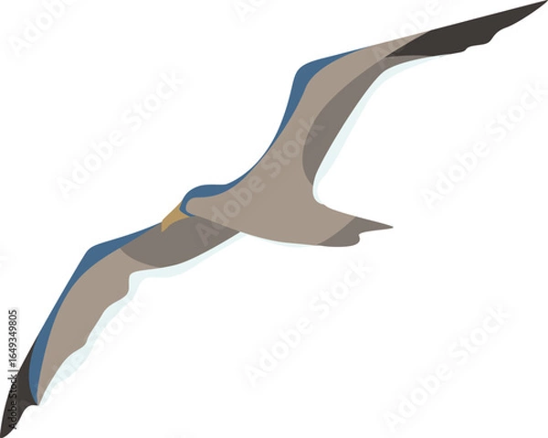 Fototapeta vector illustration of seabird, seagull