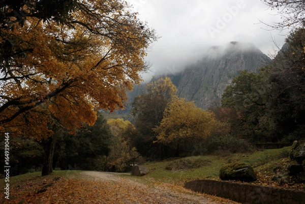 Obraz Autumn in Sicily