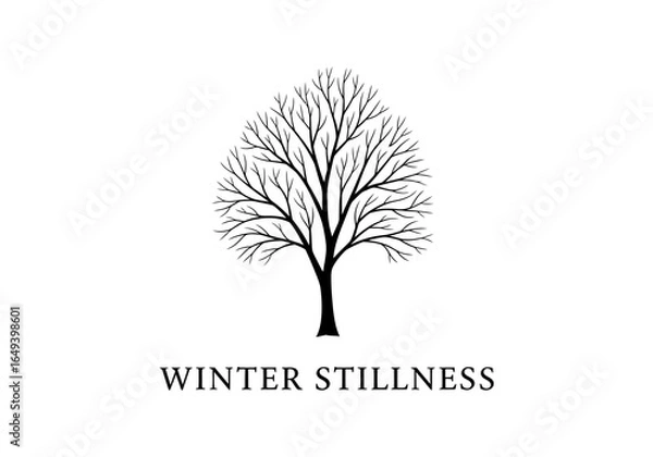 Fototapeta Winter stillness bare tree isolated on white background