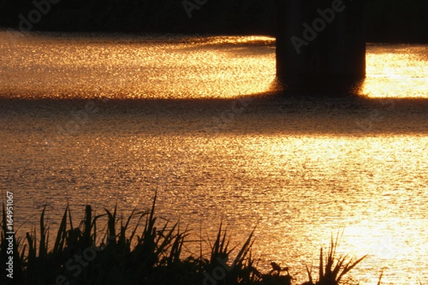 Obraz 夕日を映す川面-2_733