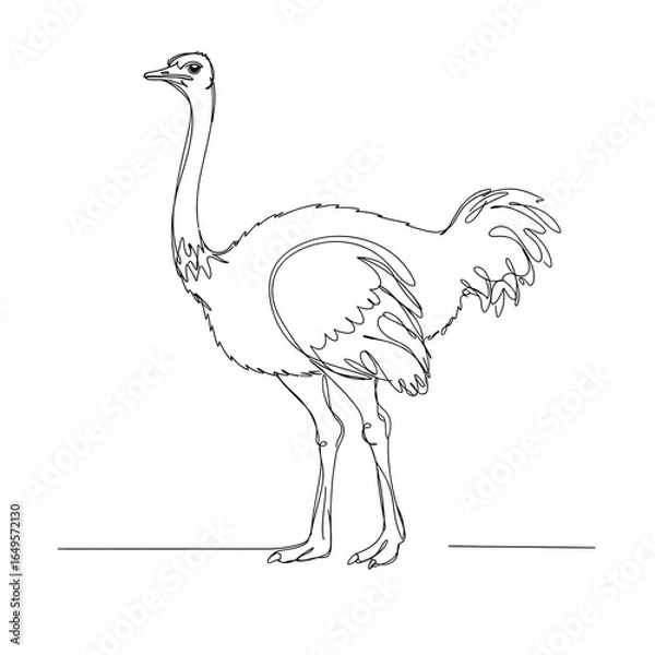 Fototapeta ostrich, minimalistic linear drawing, simple black and white contour illustration, vector, isolated, clean design, modern minimal contour sketch for posters, prints and decor