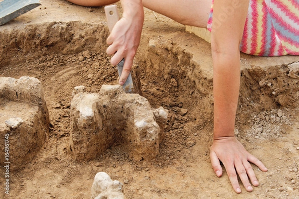 Fototapeta Archeological tools, Archeologist working on site, hand and tool.