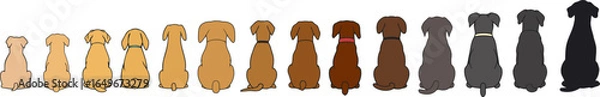 Fototapeta Minimalist colorful set of dogs, sitting back side to viewer. Clean outline simple vector flat style