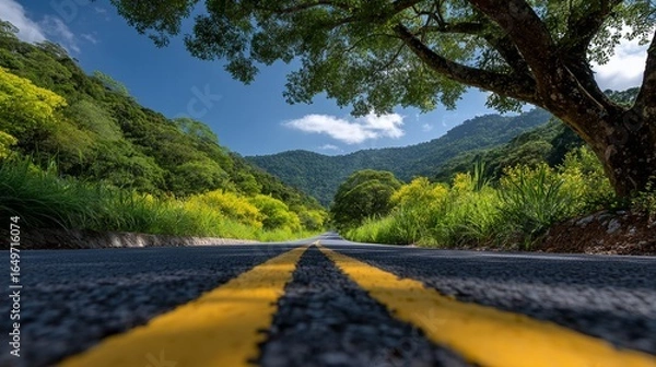 Fototapeta BR-101 Transcoastal Highway in Linhares, Brazil