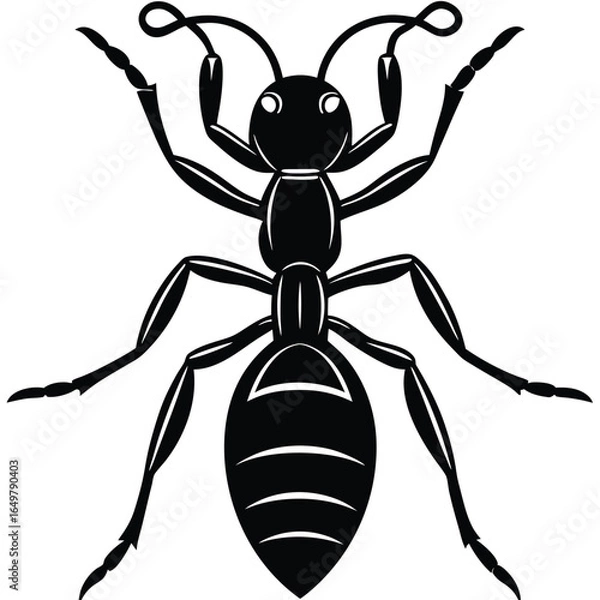 Obraz Ant Silhouette