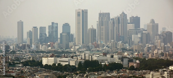 Obraz 日本の東京都市景観（新宿副都心などを望む）