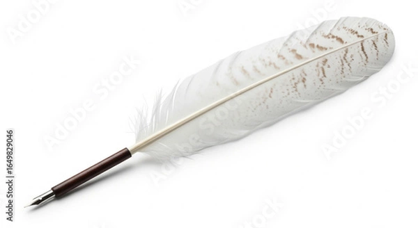 Fototapeta feather on white background