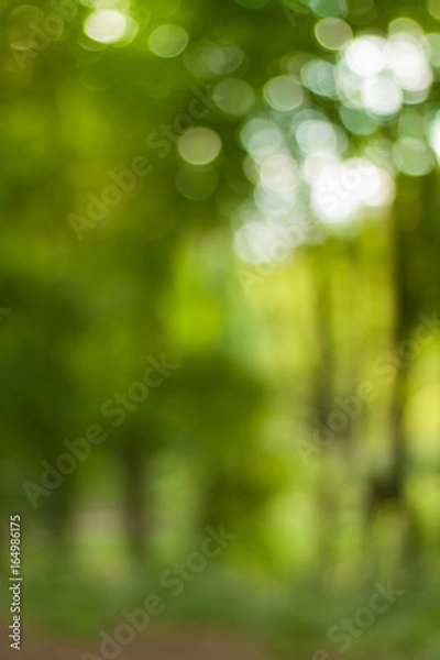 Fototapeta Blurry nature wallpaper. Forest bokeh background. Vertical defocused backdop.