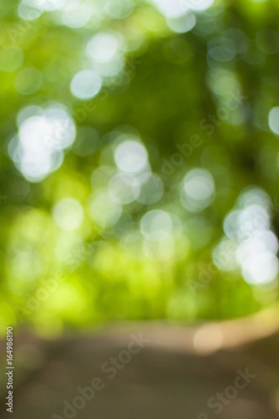 Fototapeta Blurry nature wallpaper. Forest bokeh background. Vertical defocused backdop.