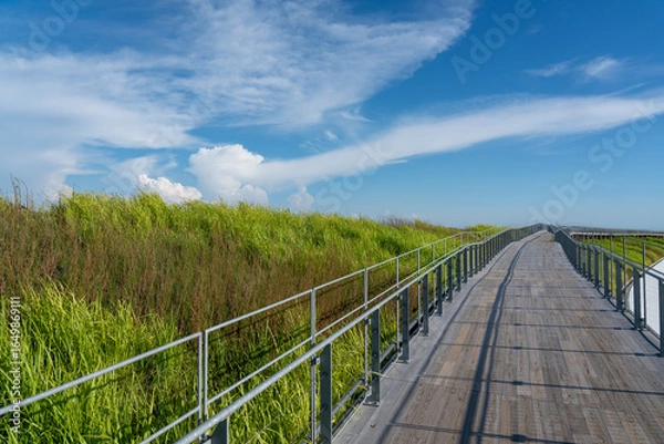 Obraz 大阪　万博