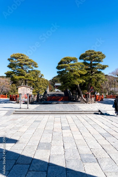 Obraz 神奈川　鎌倉　鶴岡八幡宮