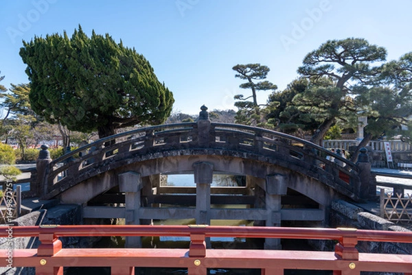 Obraz 神奈川　鎌倉　鶴岡八幡宮