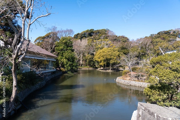 Obraz 神奈川　鎌倉　鶴岡八幡宮