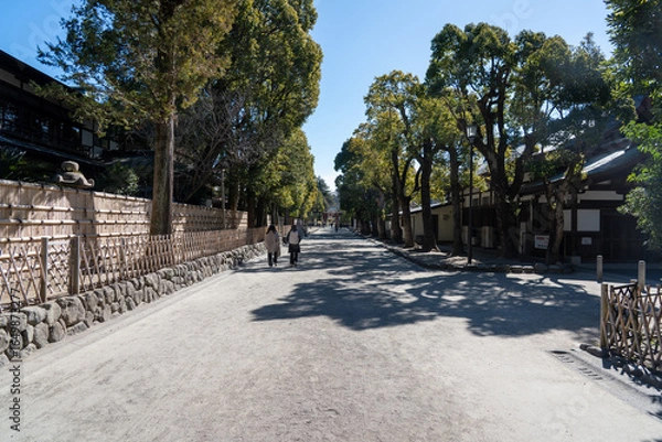 Obraz 神奈川　鎌倉　鶴岡八幡宮