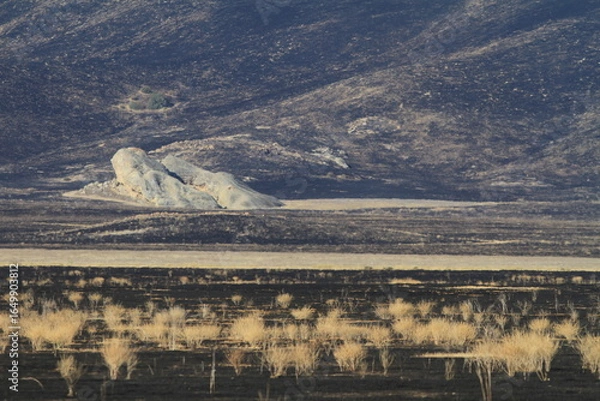 Obraz Madre Fire Burn Scar