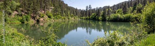 Obraz grass and water