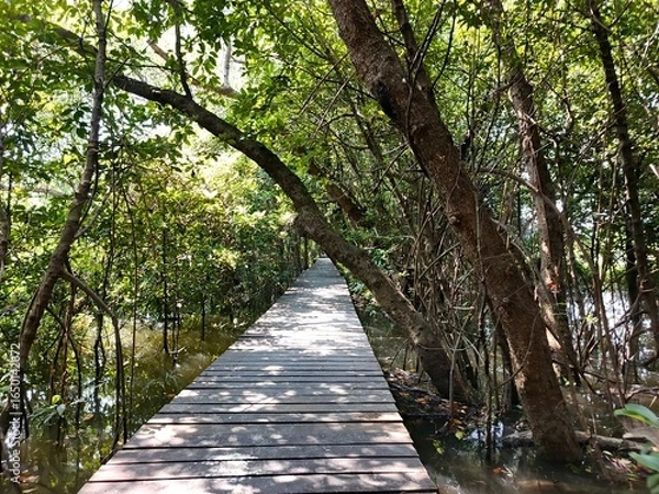 Obraz path in the park