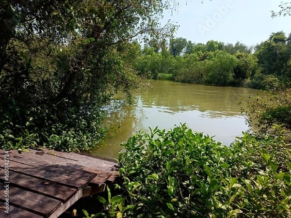 Obraz lake in the forest