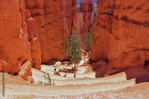 Fototapeta Navajo Loop