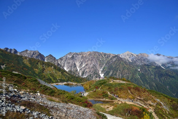 Fototapeta 八方池と白馬連峰　秋