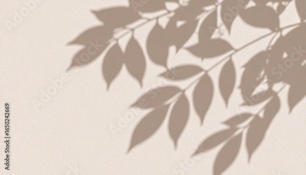 Fototapeta Abstract leaf shadows on white wall, soft minimal texture