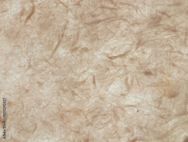 Fototapeta 和紙、背景、テクスチャ、素材	