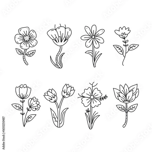 Obraz Minimal line art flower icons set for modern elegant design
