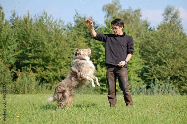 Obraz Hundetrainer