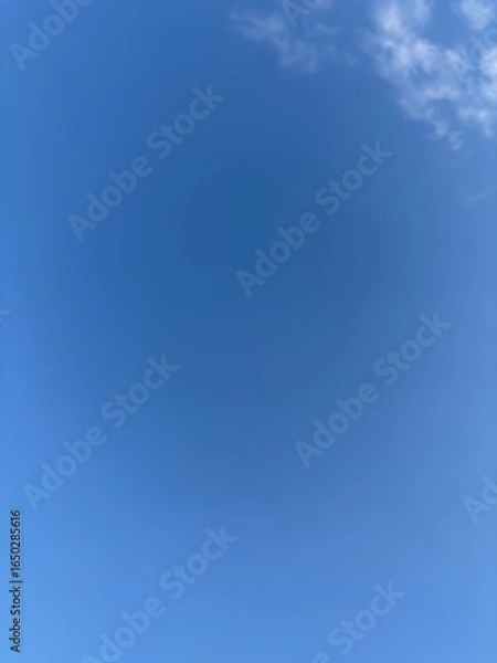 Fototapeta 夏の青空