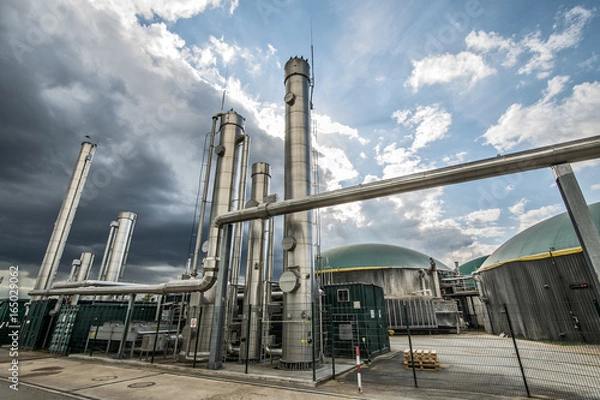 Obraz Roślina biogazowa