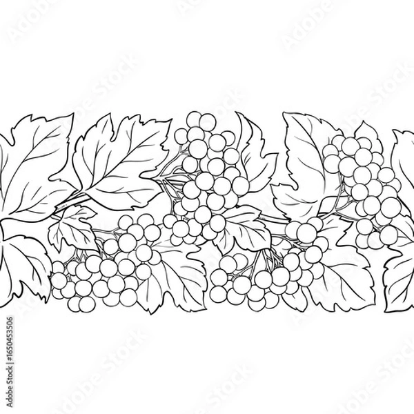 Fototapeta Guelder Rose Branch with Flowers, Berries and Leaves Outline Horizontal Seamless Pattern. Organic natural nutritional healthy food ingredient, vegetarian diet product. Vector isolated for design or de